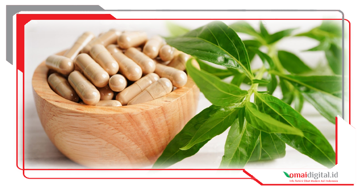 Fitofarmaka Solusi Mengurangi Impor Bahan Baku Obat